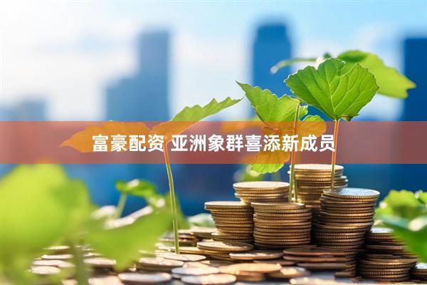 富豪配资 亚洲象群喜添新成员