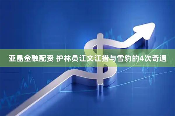 亚晶金融配资 护林员江文江措与雪豹的4次奇遇