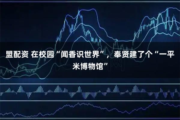 盟配资 在校园“闻香识世界”，奉贤建了个“一平米博物馆”