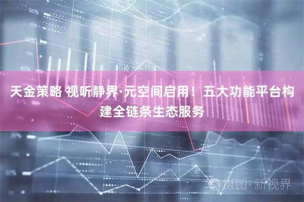 天金策略 视听静界·元空间启用！五大功能平台构建全链条生态服务