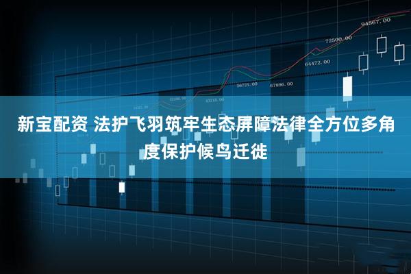 新宝配资 法护飞羽筑牢生态屏障法律全方位多角度保护候鸟迁徙