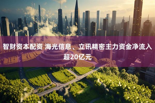 智财资本配资 海光信息、立讯精密主力资金净流入超20亿元